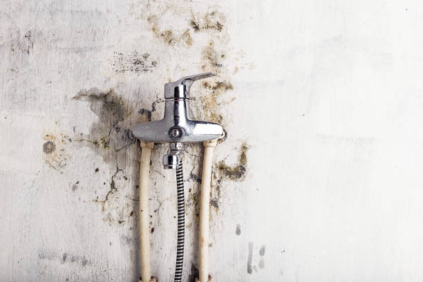 Best Mold Testing and Removal  in Akwesasne, NY