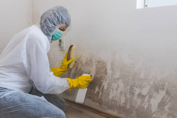 Certified Mold Removal in Akwesasne, NY