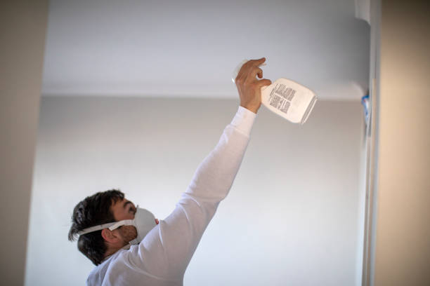 Best Black Mold Removal  in Akwesasne, NY
