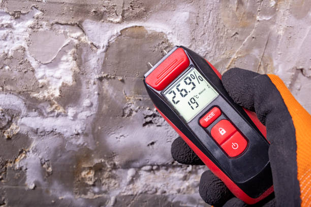 Best Commercial Mold Removal  in Akwesasne, NY