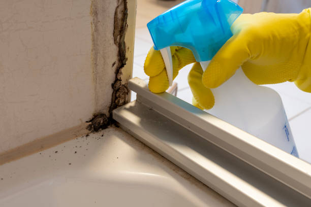 Best Mold Removal Near Me  in Akwesasne, NY