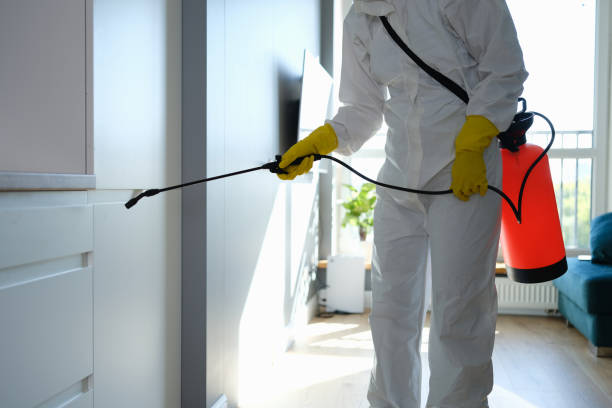 Mold Testing and Removal in Akwesasne, NY
