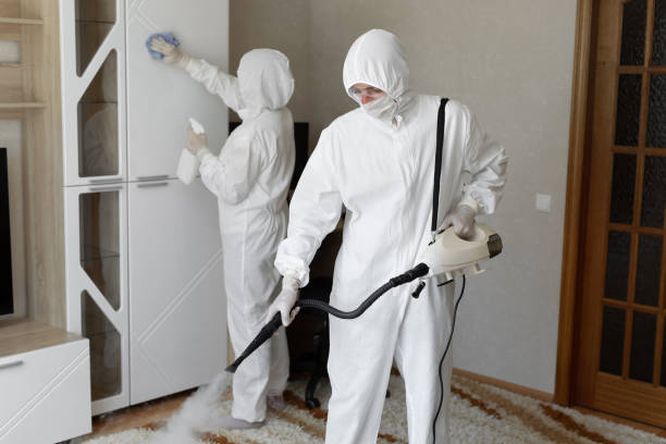 Best Attic Mold Removal  in Akwesasne, NY